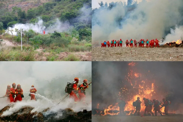 20241114  “綠盾-2024”廈門市森林防滅火綜合演練圓滿舉行5 (1).jpg?x-oss-process=style/water