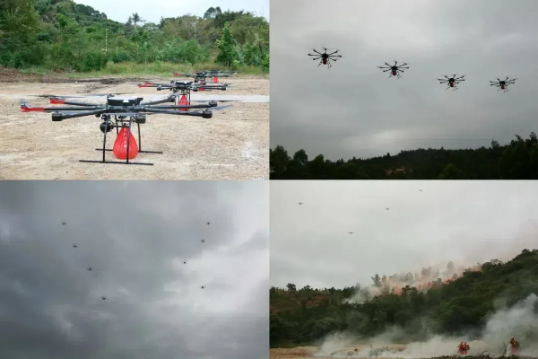 20241114  “綠盾-2024”廈門市森林防滅火綜合演練圓滿舉行9.jpg?x-oss-process=style/water