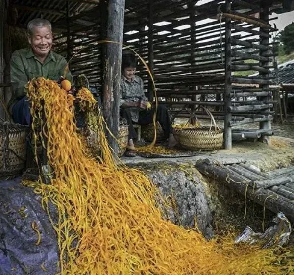 20241118  《日落日出》 走近鄉(xiāng)村讀懂農(nóng)民13.jpg?x-oss-process=style/water