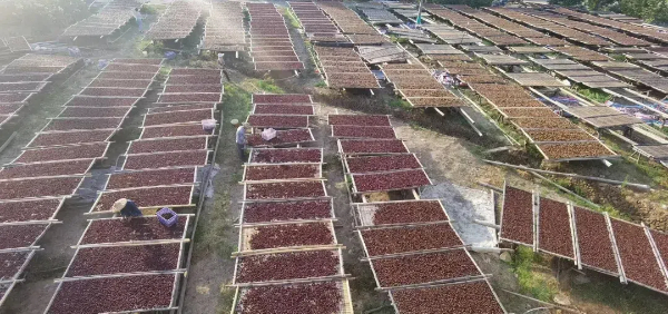 20241118  《日落日出》 走近鄉(xiāng)村讀懂農(nóng)民14.jpg?x-oss-process=style/water