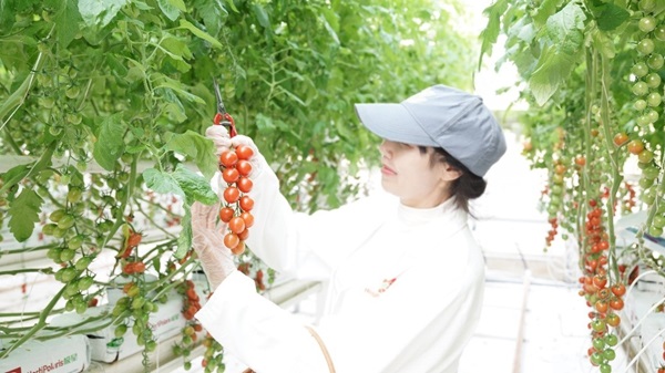 3.jpg?x-oss-process=style/water